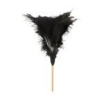Feather duster