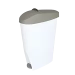 Sani bin